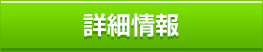 詳細情報